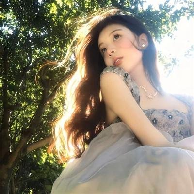 凤皇传